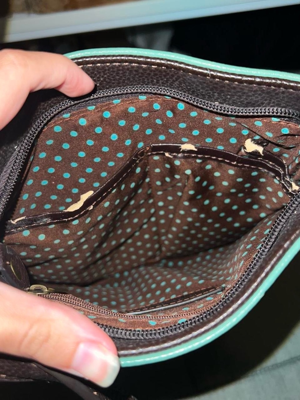 Chala Teal Crossbody with Blue Bird Appliqué - Picture 5 of 7